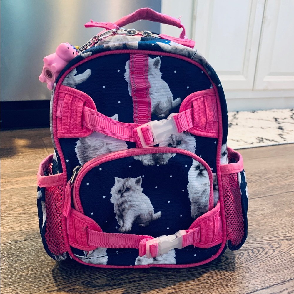 Pottery Barn Toddler Backpack